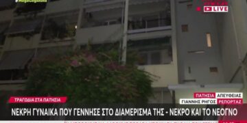 Alldaynews.gr «Δεν είδα κανένα ψαλίδι»: Τι είπε ο σύζυγος της 34χρονης που εντοπίστηκε νεκρή μαζί με το νεογνό της στο διαμέρισμά της