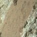 Alldaynews.gr NASA: «Το πιο ξεκάθαρο σημάδι ζωής στον Άρη» βρέθηκε σε δείγμα από βράχο που μάζεψε το ρόβερ