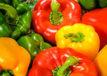 Ανακαλούνται πιπεριές Αλβανίας γεμάτες φυτοφάρμακα