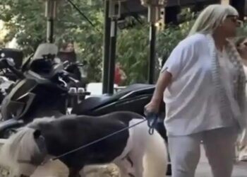 Γυναίκα έβγαλε βόλτα το πόνυ της στο κέντρο της Αθήνας