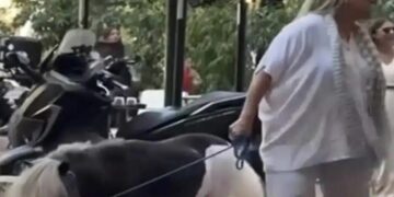 Alldaynews.gr Γυναίκα έβγαλε βόλτα το πόνυ της στο κέντρο της Αθήνας