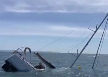 Βίντεο ντοκουμέντο: Η στιγμή που κοπάδι από φάλαινες χτυπούν σκάφος γεμάτο τουρίστες στην Πορτογαλία και το βυθίζουν