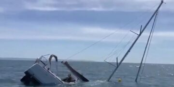 Alldaynews.gr Βίντεο ντοκουμέντο: Η στιγμή που κοπάδι από φάλαινες χτυπούν σκάφος γεμάτο τουρίστες στην Πορτογαλία και το βυθίζουν