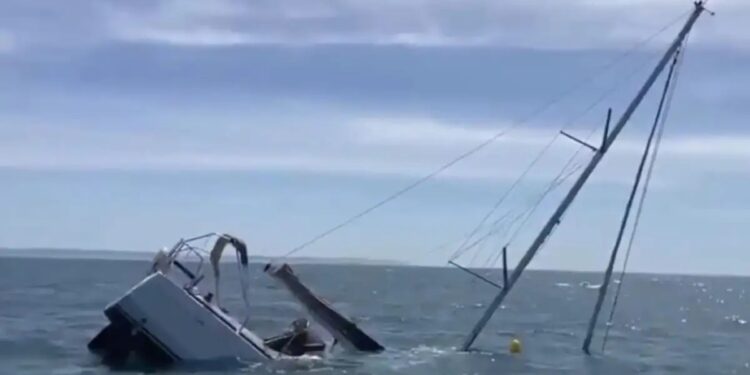 Alldaynews.gr Βίντεο ντοκουμέντο: Η στιγμή που κοπάδι από φάλαινες χτυπούν σκάφος γεμάτο τουρίστες στην Πορτογαλία και το βυθίζουν