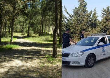 Έσφαξε αρνί στο Σέιχ Σου για να τιμήσει το κουρμπάνι – Κακουργηματική δίωξη σε 51χρονο