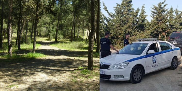 Έσφαξε αρνί στο Σέιχ Σου για να τιμήσει το κουρμπάνι – Κακουργηματική δίωξη σε 51χρονο