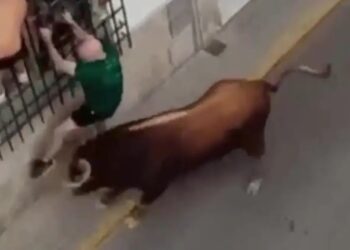 Τραγωδία: Η στιγμή που ταύρος ορμάει σε 57χρονο σε ισπανικό φεστιβάλ και τον σκοτώνει (video)