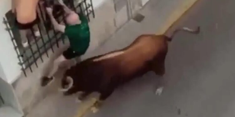 Alldaynews.gr Τραγωδία: Η στιγμή που ταύρος ορμάει σε 57χρονο σε ισπανικό φεστιβάλ και τον σκοτώνει (video)