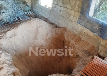 Αποκαλύψεις για τη Διευθύντρια σε ΚΕΠ που έθαψε τη μητέρα της στην αυλή για να παίρνει τη σύνταξή της (video)