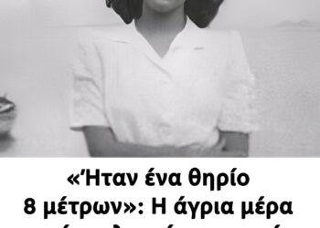 «Ήταν ένα θηρίο 8 μέτρων»: Η άγρια μέρα που ένας λευκός καρχαρίας κατασπάpαξε τη 16χρονη, Βάντα, στην Κέρκυρα