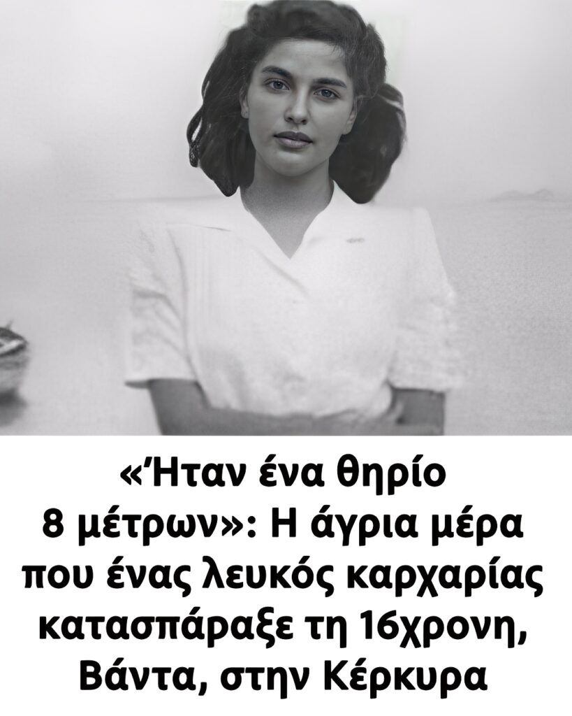 καρχαρίας