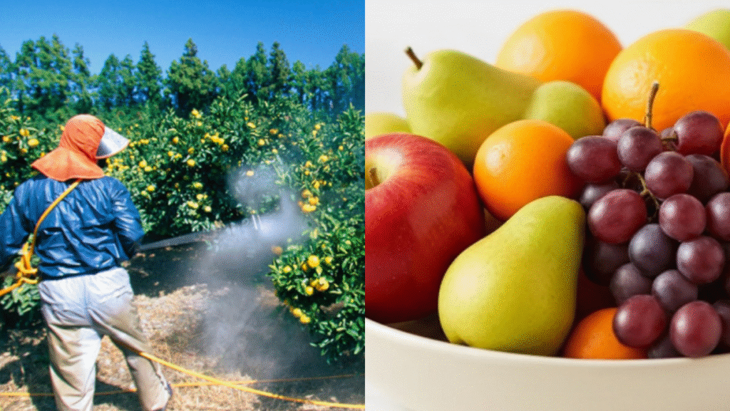 Alldaynews.gr φυτοφάρμακα