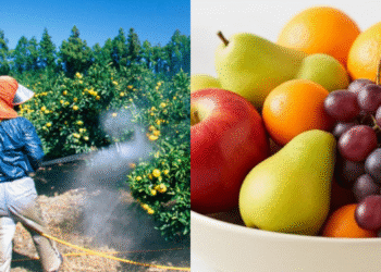 Το ελληνικό φρούτο με τα περισσότερα φυτοφάρμακα – Στη δημοσιότητα ο νέος αποκαλυπτικός έλεγχος του ΥΠΑΑΤ