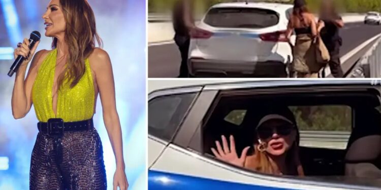 Δέσποινα Βανδή: Χαμός στα socialmedia από την μεταφορά της με περιπολικό μετά από βλάβη στο αυτοκίνητό της – Λιάγκας: «Το Υπουργείο να πάρει θέση»