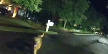 Alldaynews.gr Συγκινητικό βίντεο: Σκύλος οδηγεί την αστυνομία στην τραυματισμένη ιδιοκτήτριά του