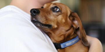 Alldaynews.gr ai alldaynews.gr