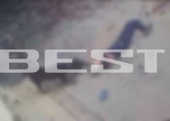 Σκύλος δολοφόνος σχεδόν ακρωτηρίασε άνδρα δαγκώνοντάς τον – Αστυνομικός πυροβόλησε το ροτβάιλερ – Σε σοβαρή κατάσταση το θύμα της επίθεσης (video)