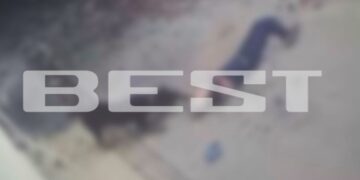 Alldaynews.gr Σκύλος δολοφόνος σχεδόν ακρωτηρίασε άνδρα δαγκώνοντάς τον – Αστυνομικός πυροβόλησε το ροτβάιλερ – Σε σοβαρή κατάσταση το θύμα της επίθεσης (video)