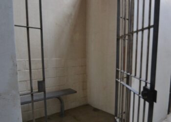 Συνταξιούχος έκοψε ένα κλαράκι δεντρολίβανο και οδηγήθηκε στο κρατητήριο