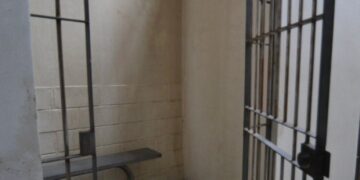 Συνταξιούχος έκοψε ένα κλαράκι δεντρολίβανο και οδηγήθηκε στο κρατητήριο