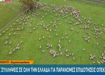 Alldaynews.gr ΕΚΤΑΚΤΟ: Χειροπέδες από το ελληνικό FBI σε τουλάχιστον 37 άτομα σε όλη τη χώρα για παράνομες επιδοτήσεις από τον ΟΠΕΚΕΠΕ