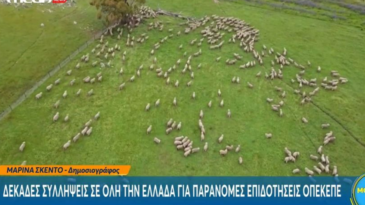 Alldaynews.gr