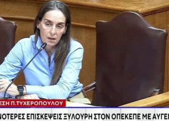 Σκάνδαλο ΟΠΕΚΕΠΕ: Μόνο ντροπή γι’ αυτό που έκαναν στην Παρασκευή Τυχεροπούλου