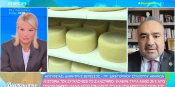Alldaynews.gr Δ. Βερβεσός: «Έκλεψε τυριά αξίας 25 ευρώ από σούπερ μάρκετ για να ταΐσει τον άρρωστο πατέρα του»