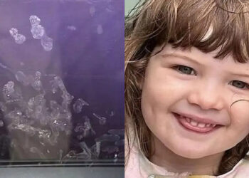 Δίχρονη πάλευε για τη ζωή της ενώ ο πατέρας έβλεπε πορνό: Τα σοκαριστικά αποτυπώματά της στο τζάμι του αυτοκινήτου