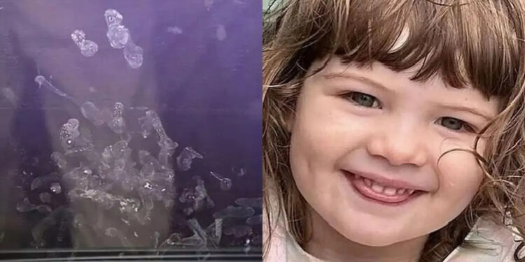 Δίχρονη πάλευε για τη ζωή της ενώ ο πατέρας έβλεπε πορνό: Τα σοκαριστικά αποτυπώματά της στο τζάμι του αυτοκινήτου