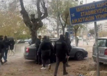 «Είχε σχεδιάσει από μέρες τον φόνο – Εγώ ζώ από θαύμα σήμερα. Μόνο που δεν προλάβαμε να σώσουμε τη μητέρα μας», λέει ο γιος του θύματος