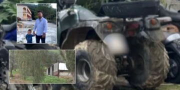 «Το είχε πλακώσει το παιδί»: Αυτή είναι η γουρούνα της τραγωδίας στην Αχαΐα – Συγγενείς την έκρυψαν σε στάνη