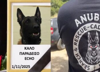 Σκότωσαν τον Echo! Θρήνος για τον σκύλο που συμμετείχε σε έρευνες για τα Τέμπη και για δολοφονίες