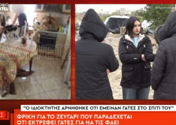 Φρίκη: Ζευγάρι εξέτρεφε 51 γάτες για να τις φάει – «Το κάναμε επιστήμη. Να λυθεί το πρόβλημα της ασιτίας» (video)