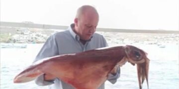 Λαφαζάνης: «Μου έκοψαν και τη βουλευτική σύνταξη, φρόντισαν οι φίλοι μου οι Συριζαίοι – Ο Τσίπρας με θεωρεί εσωτερικό εχθρό»