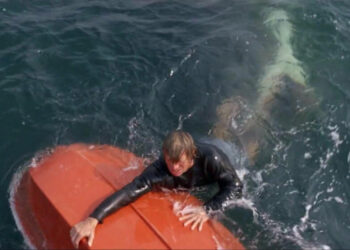 900 άνθρωποι έπεσαν στο νερό 316 βγήκαν ζωντανοί: Πώς ξεκίνησε η μεγαλύτερη επίθεση από καρχαρίες που έβαψε κόκκινη τη θάλασσα