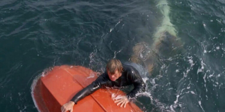 900 άνθρωποι έπεσαν στο νερό 316 βγήκαν ζωντανοί: Πώς ξεκίνησε η μεγαλύτερη επίθεση από καρχαρίες που έβαψε κόκκινη τη θάλασσα