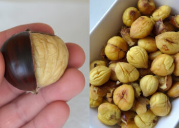 Λίγοι το ξέρουν: Το κόλπο για να καθαρίσεις το κάστανο στη στιγμή χωρίς να το σπάσεις καθόλου (video)
