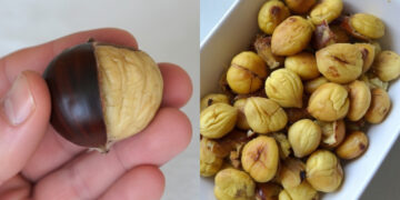 Λίγοι το ξέρουν: Το κόλπο για να καθαρίσεις το κάστανο στη στιγμή χωρίς να το σπάσεις καθόλου (video)