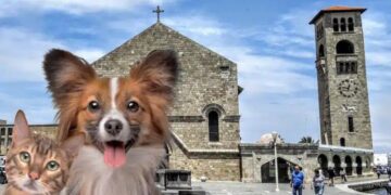 Alldaynews.gr Τραγωδία: Ό 3χρονος έπεσε από μάντρα στο κενό μαζί με έναν 25χρονο – Οι γιατροί προσπαθούσαν για 40 λεπτά να επαναφέρουν το αγοράκι