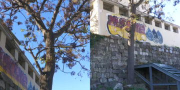 Σοκ: Νεαρός άνδρας βρέθηκε κρεμασμένος σε αρχαιολογικό χώρο την ώρα που βρίσκονταν στο σημείο για εκδρομή δύο σχολικές μονάδες