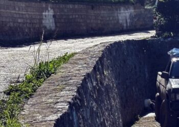 «Με γουρούνα πέσανε από τη μάντρα, δεν έπεσε λιπόθυμος» – Ανατρεπτική μαρτυρία για τον νεκρό 3χρονο Ανδρέα