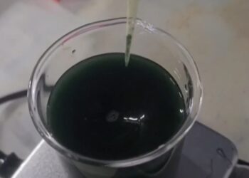 Μπλε μέλι: Η ελληνική καινοτομία που ξετρελαίνει τους τουρίστες και ταξιδεύει στον κόσμο