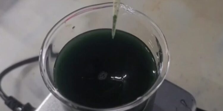 Μπλε μέλι: Η ελληνική καινοτομία που ξετρελαίνει τους τουρίστες και ταξιδεύει στον κόσμο