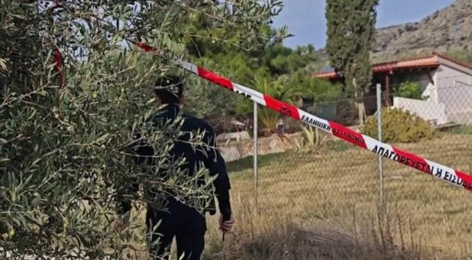 «Τον είχε πνίξει, έλεγε ότι αν πάει σπίτι θα τον σκοτώσει» – Το βίαιο παρελθόν πίσω από την αδελφοκτονία