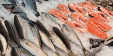 Μολυσμένο ένα στα τρία ψάρια στα ελληνικά σούπερ μάρκετ  – Εντοπίστηκαν επικίνδυνα παράσιτα