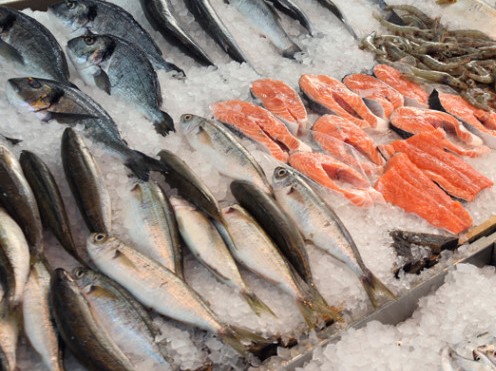 Μολυσμένο ένα στα τρία ψάρια στα ελληνικά σούπερ μάρκετ  – Εντοπίστηκαν επικίνδυνα παράσιτα