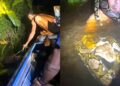 Alldaynews.gr Οι τουρίστες νόμιζαν ότι τους κάνει πλάκα: Τεράστιος πύθωνας τυλίγεται γύρω από τον λαιμό ξεναγού και τον τραβάει κάτω από το νερό