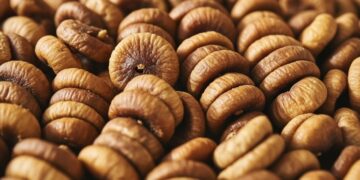 Γιατί οι Αρχαίοι Έλληνες έτρωγαν καθημερινά ξερά σύκα; – Τι ήξεραν για την «υπερτροφή»;