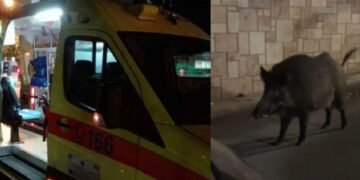 Τραγωδία: Νεκρός 24χρονος μοτοσικλετιστής μετά από σύγκρουση με αγριογούρουνο